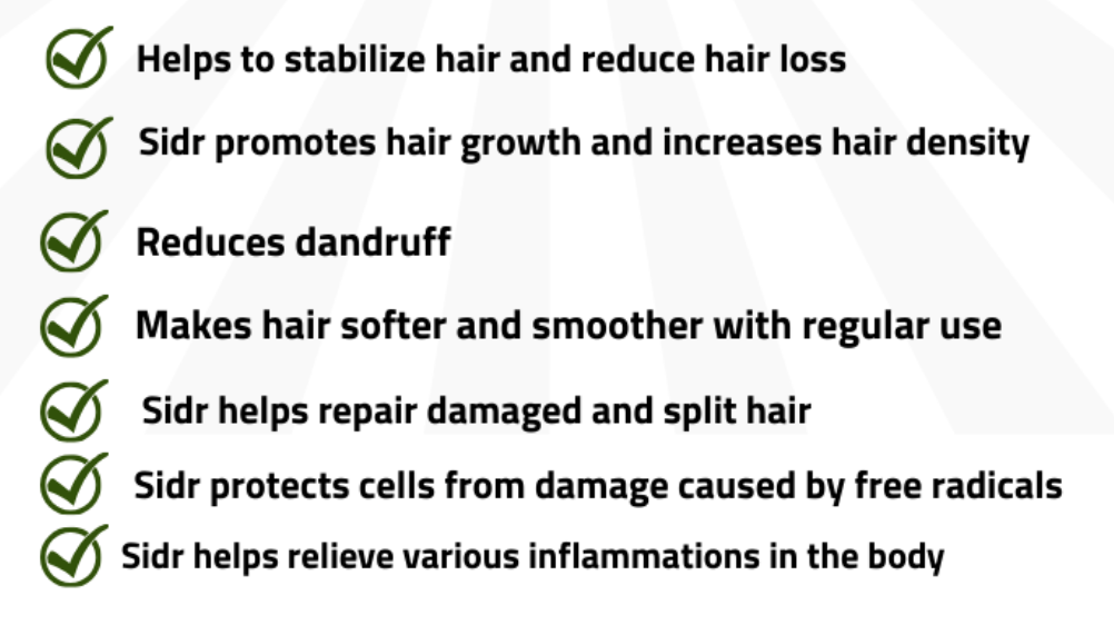 Natural Sidr Powder, سدر طبيعي